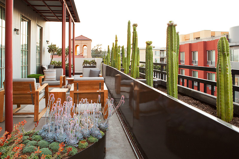 Pasadena Terrace #9