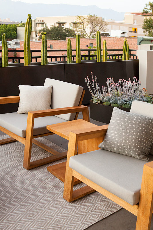 Pasadena Terrace #11